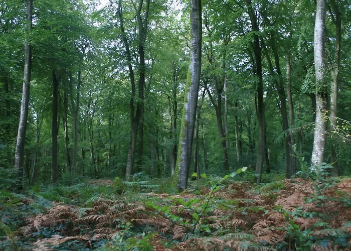 Escapade En * 奥尔特